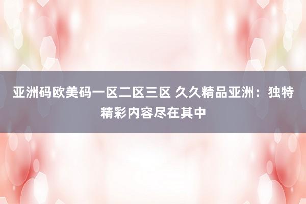 亚洲码欧美码一区二区三区 久久精品亚洲：独特精彩内容尽在其中