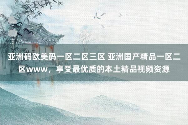 亚洲码欧美码一区二区三区 亚洲国产精品一区二区www，享受最优质的本土精品视频资源