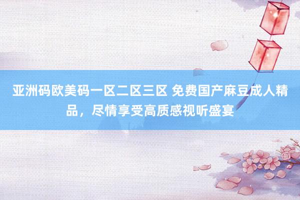亚洲码欧美码一区二区三区 免费国产麻豆成人精品，尽情享受高质感视听盛宴