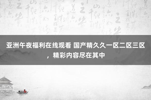 亚洲午夜福利在线观看 国产精久久一区二区三区，精彩内容尽在其中