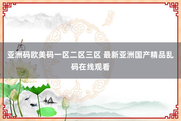 亚洲码欧美码一区二区三区 最新亚洲国产精品乱码在线观看