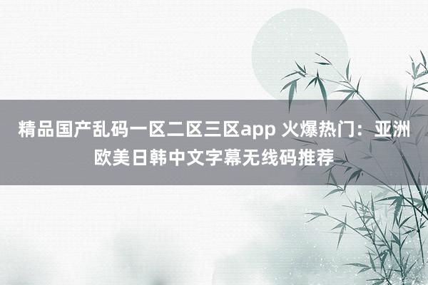 精品国产乱码一区二区三区app 火爆热门：亚洲欧美日韩中文字幕无线码推荐
