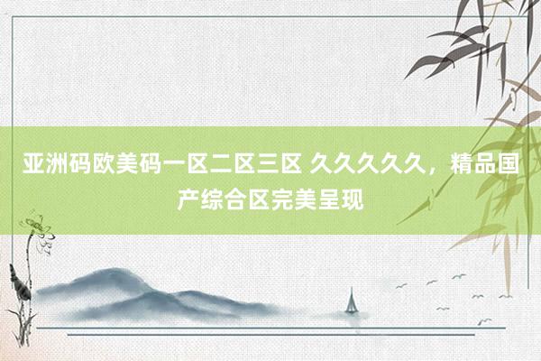 亚洲码欧美码一区二区三区 久久久久久，精品国产综合区完美呈现