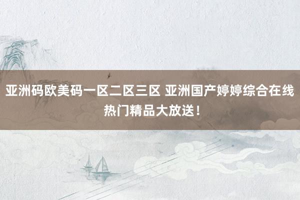 亚洲码欧美码一区二区三区 亚洲国产婷婷综合在线 热门精品大放送！
