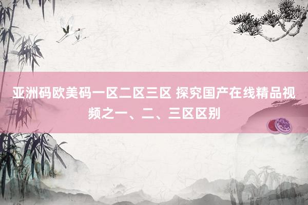 亚洲码欧美码一区二区三区 探究国产在线精品视频之一、二、三区区别