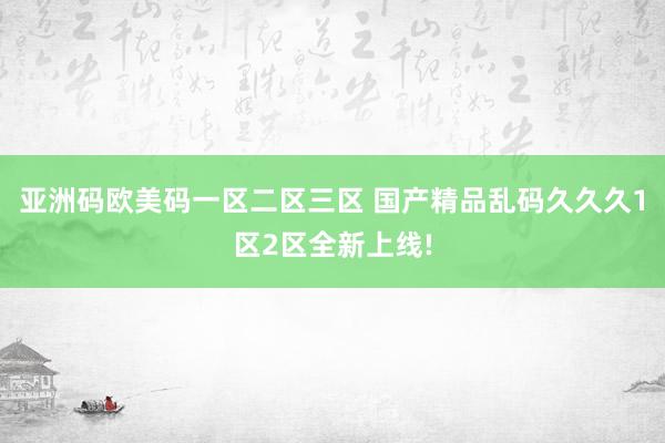 亚洲码欧美码一区二区三区 国产精品乱码久久久1区2区全新上线!