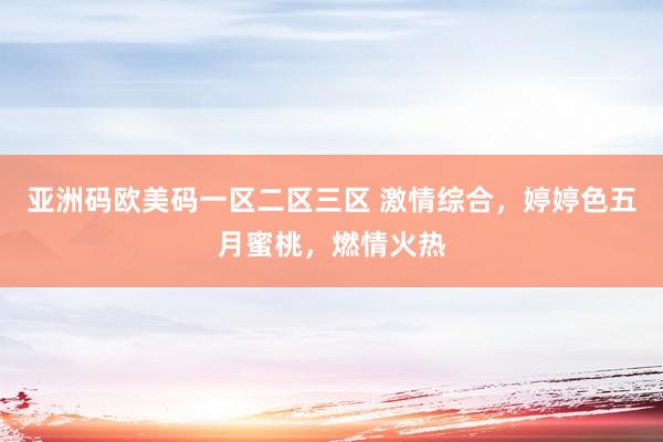 亚洲码欧美码一区二区三区 激情综合，婷婷色五月蜜桃，燃情火热