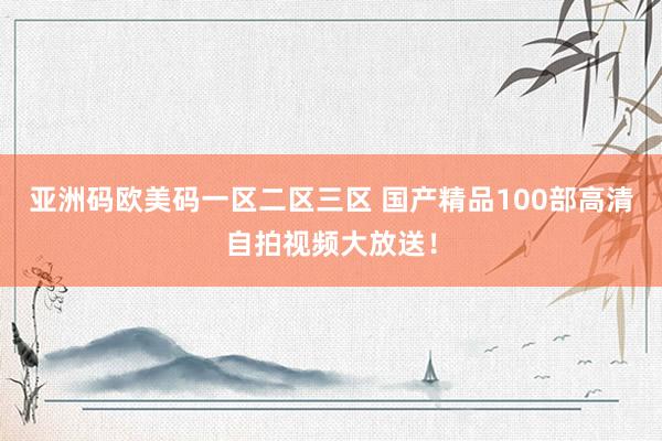 亚洲码欧美码一区二区三区 国产精品100部高清自拍视频大放送！