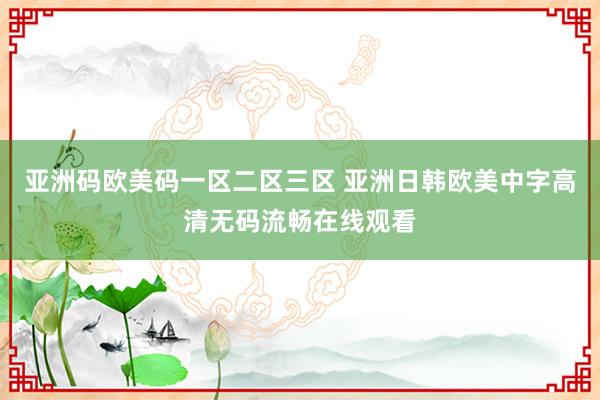 亚洲码欧美码一区二区三区 亚洲日韩欧美中字高清无码流畅在线观看
