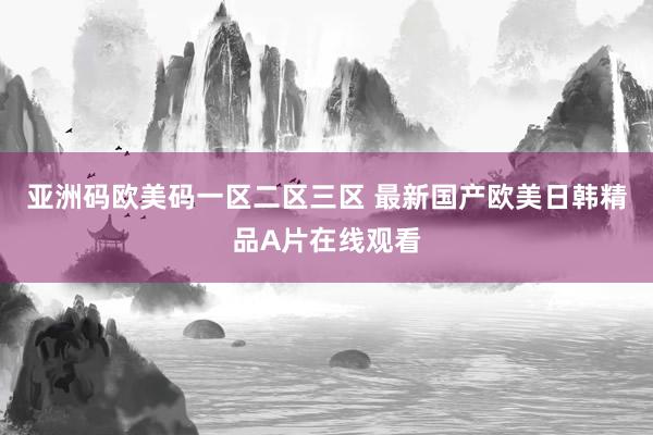 亚洲码欧美码一区二区三区 最新国产欧美日韩精品A片在线观看