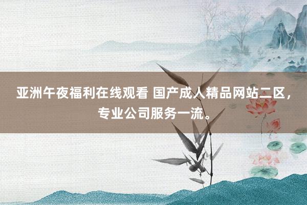亚洲午夜福利在线观看 国产成人精品网站二区，专业公司服务一流。