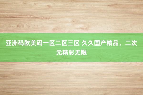 亚洲码欧美码一区二区三区 久久国产精品，二次元精彩无限
