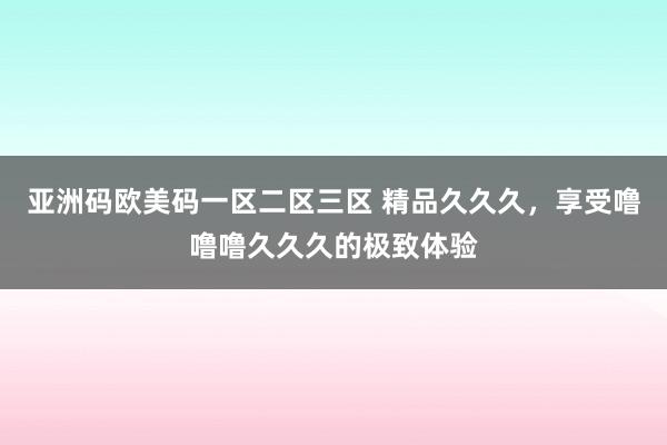 亚洲码欧美码一区二区三区 精品久久久，享受噜噜噜久久久的极致体验