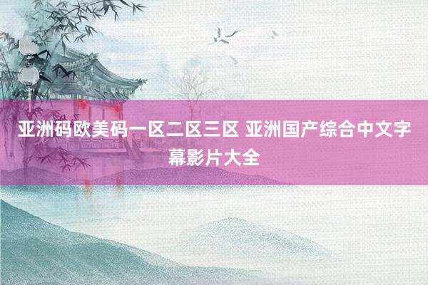 亚洲码欧美码一区二区三区 亚洲国产综合中文字幕影片大全