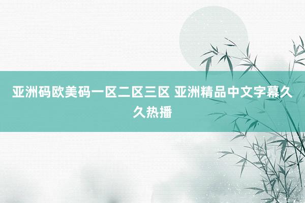 亚洲码欧美码一区二区三区 亚洲精品中文字幕久久热播