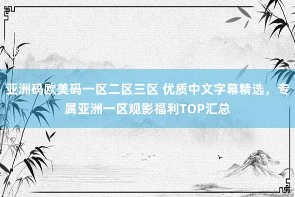 亚洲码欧美码一区二区三区 优质中文字幕精选，专属亚洲一区观影福利TOP汇总