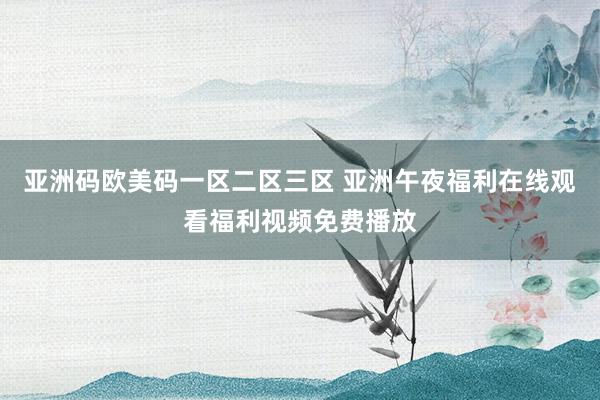 亚洲码欧美码一区二区三区 亚洲午夜福利在线观看福利视频免费播放