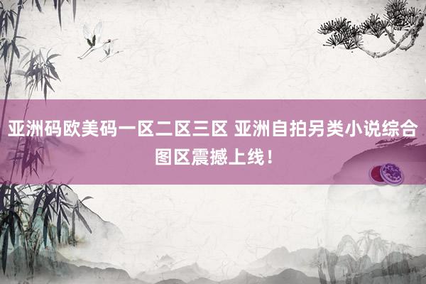 亚洲码欧美码一区二区三区 亚洲自拍另类小说综合图区震撼上线！
