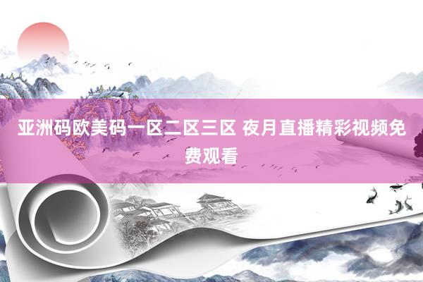 亚洲码欧美码一区二区三区 夜月直播精彩视频免费观看