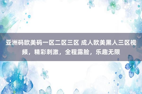 亚洲码欧美码一区二区三区 成人欧美黑人三区视频，精彩刺激，全程露脸，乐趣无限