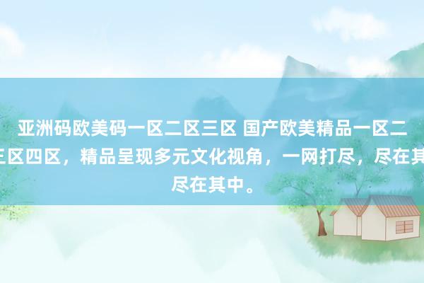 亚洲码欧美码一区二区三区 国产欧美精品一区二区三区四区，精品呈现多元文化视角，一网打尽，尽在其中。