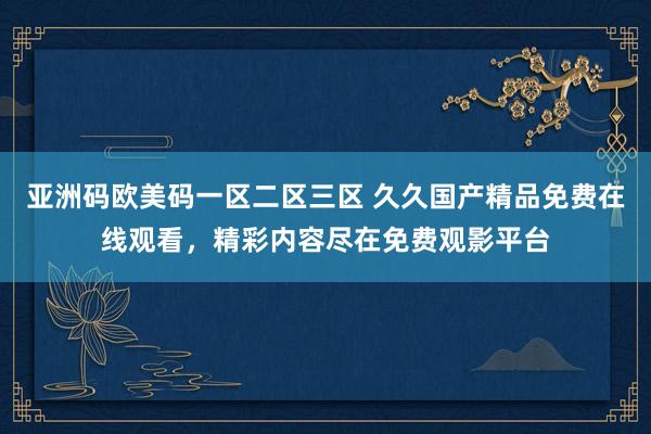 亚洲码欧美码一区二区三区 久久国产精品免费在线观看，精彩内容尽在免费观影平台