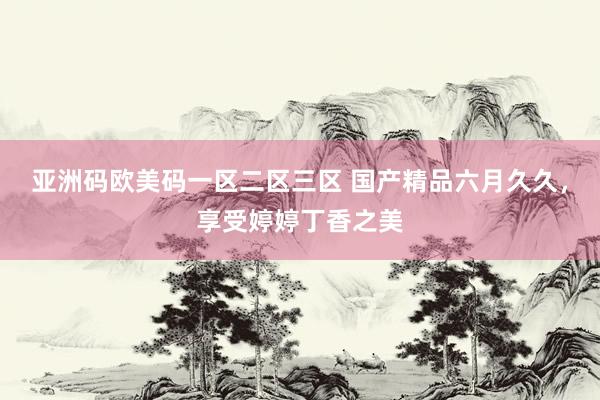 亚洲码欧美码一区二区三区 国产精品六月久久，享受婷婷丁香之美