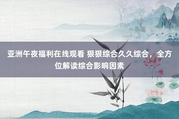 亚洲午夜福利在线观看 狠狠综合久久综合，全方位解读综合影响因素