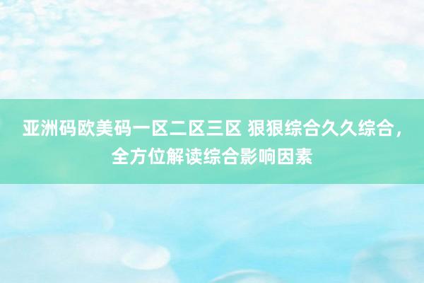 亚洲码欧美码一区二区三区 狠狠综合久久综合，全方位解读综合影响因素