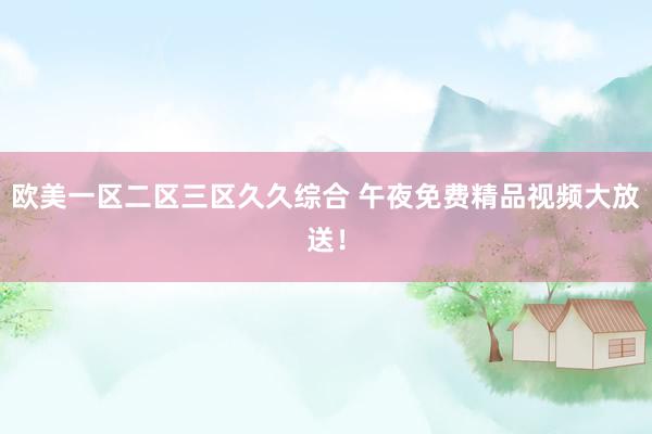 欧美一区二区三区久久综合 午夜免费精品视频大放送！